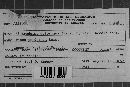 Elytroderma deformans image