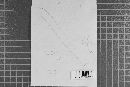 Lachnellula fuscosanguinea image