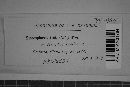 Microsphaera ceanothi image