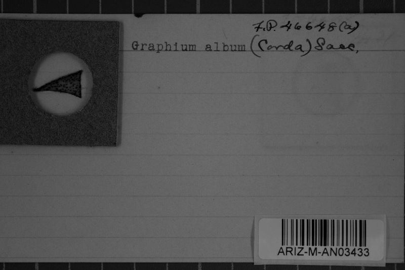Graphium album image