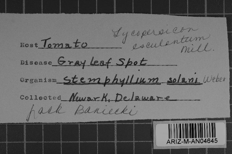 Stemphylium solani image