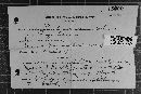 Coleosporium asterum image