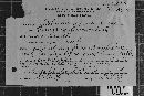Coleosporium vernoniae image