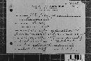Coleosporium vernoniae image