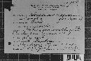 Coleosporium vernoniae image