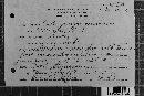 Coleosporium vernoniae image