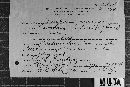 Coleosporium vernoniae image