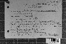 Coleosporium vernoniae image