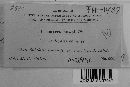 Uromyces howei image