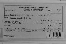 Uromyces suksdorfii image