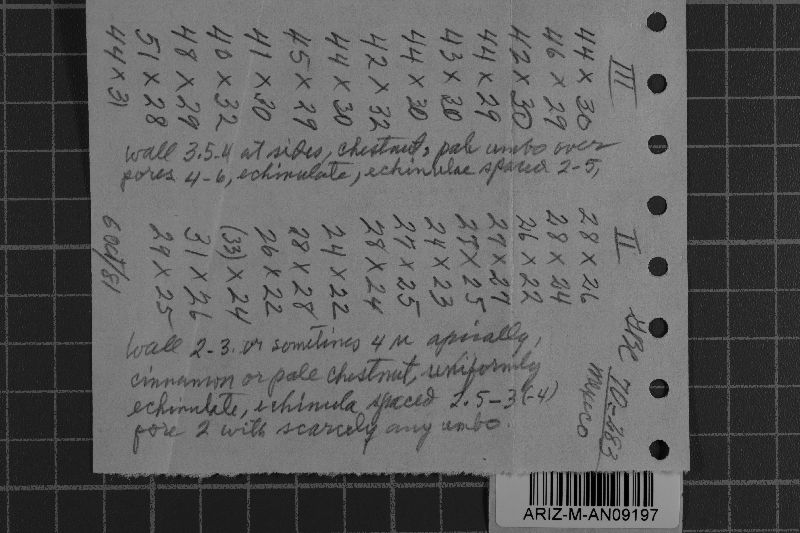 Prospodium image