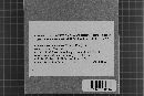 Veluticeps abietina image