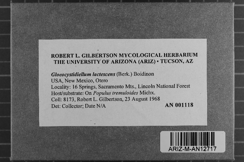 Gloiothele lactescens image