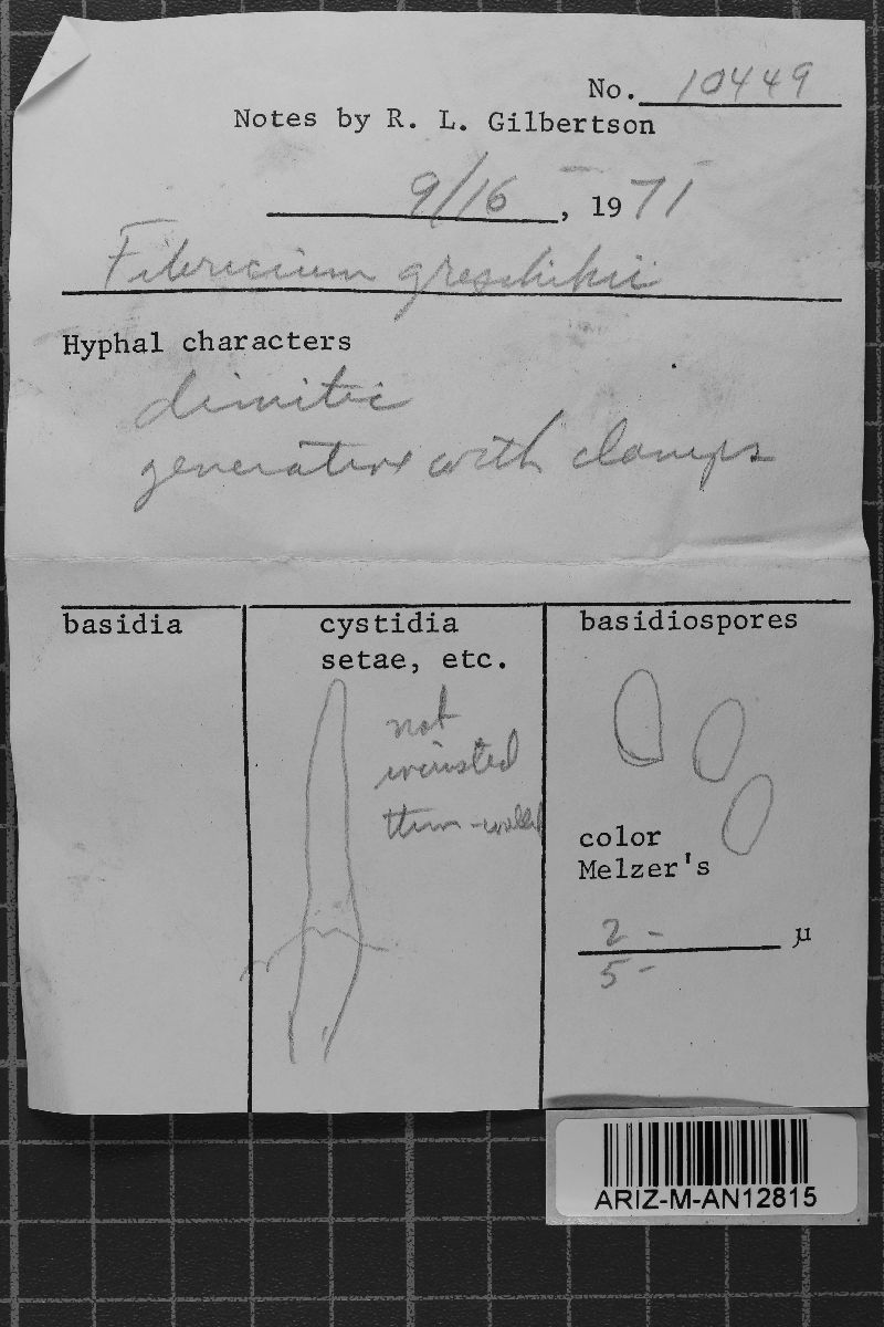 Fibricium rude image