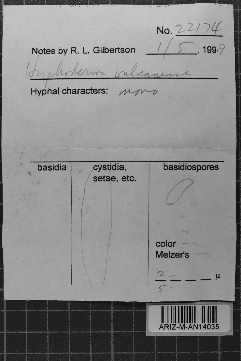 Crustoderma vulcanense image