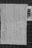 Hyphodermella corrugata image