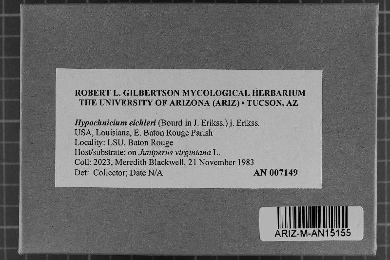 Hypochnicium eichleri image