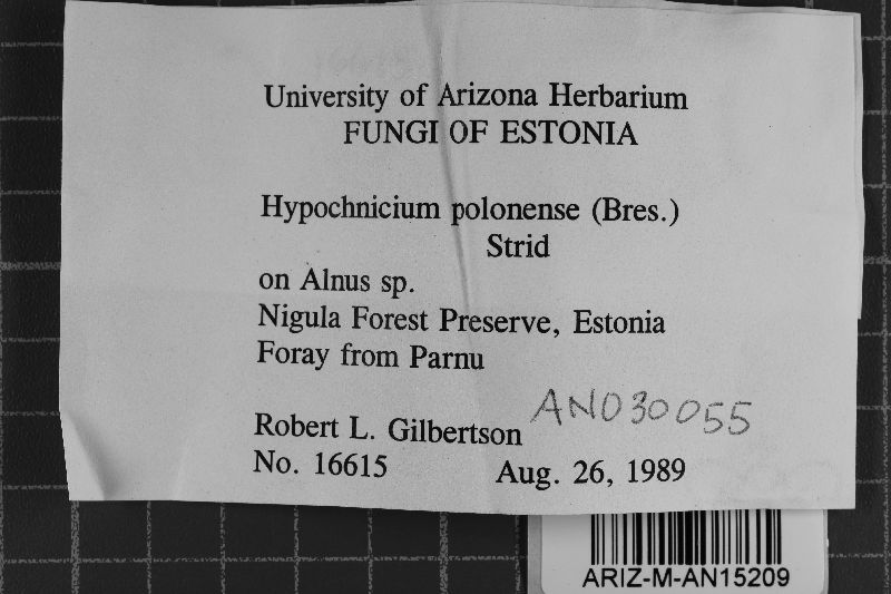 Gyrophanopsis polonensis image