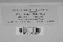 Mycosphaerella rubi image