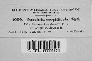 Puccinia crepidicola image
