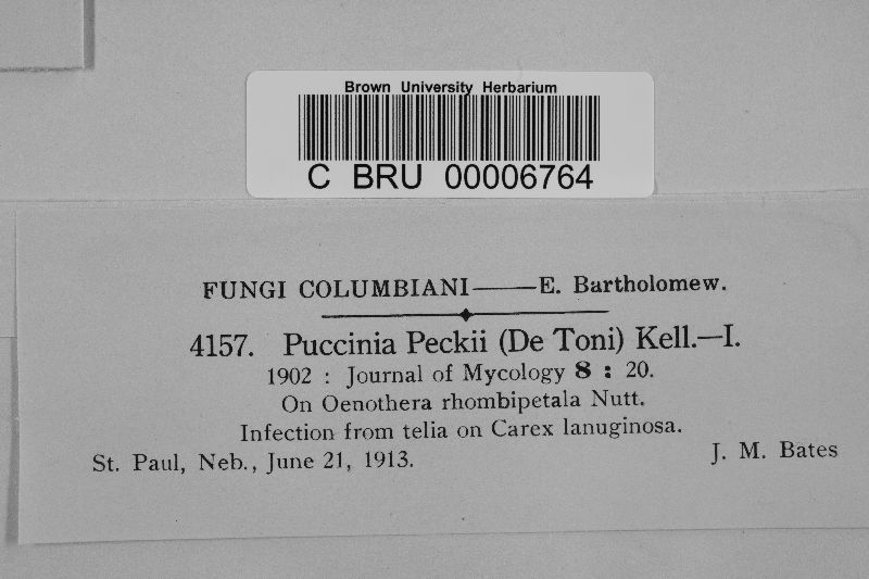 Puccinia peckii image
