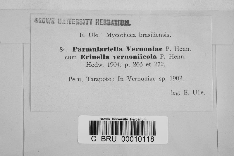 Parmulariella vernoniae image
