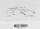 Aecidium petasitis image
