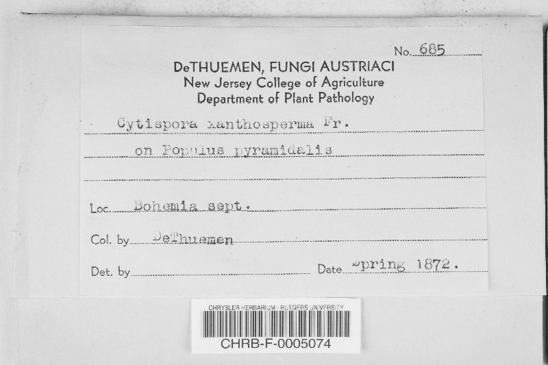 Cytospora xanthosperma image