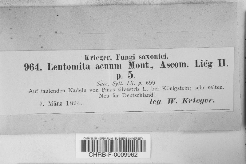 Lentomita acuum image