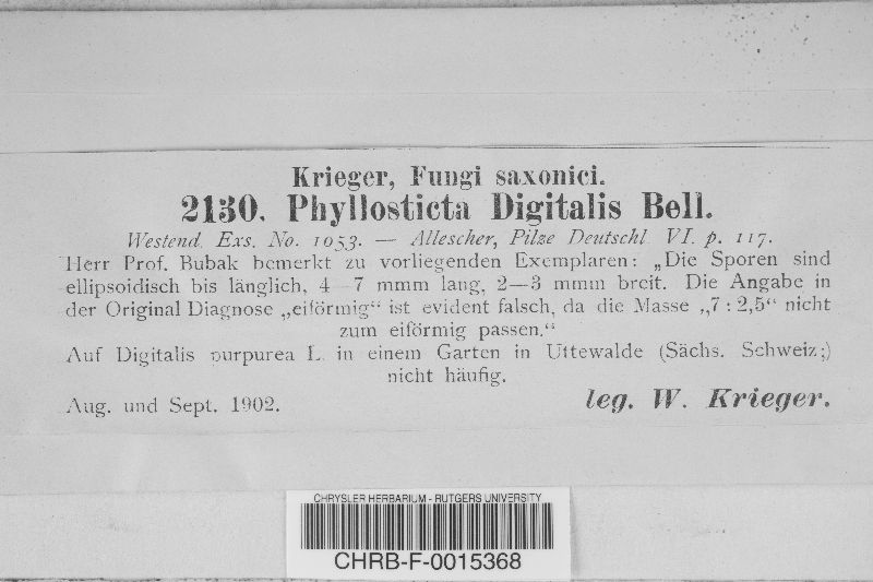 Phyllosticta digitalis image