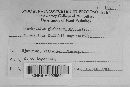 Synchytrium globosum image