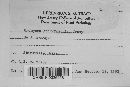 Uromyces andropogonis image