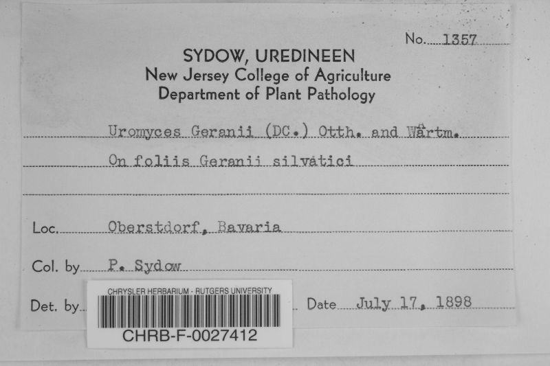 Uromyces geranii image