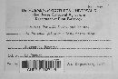 Uromyces geranii image