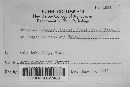 Uromyces hedysari-obscuri image
