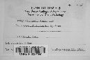 Uromyces howei image