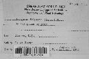 Uromyces polygoni-avicularis image