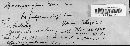 Gymnosporangium nidus-avis image