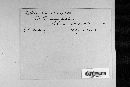 Ustilago tritici image