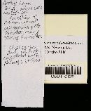 Callistosporium luteo-olivaceum image