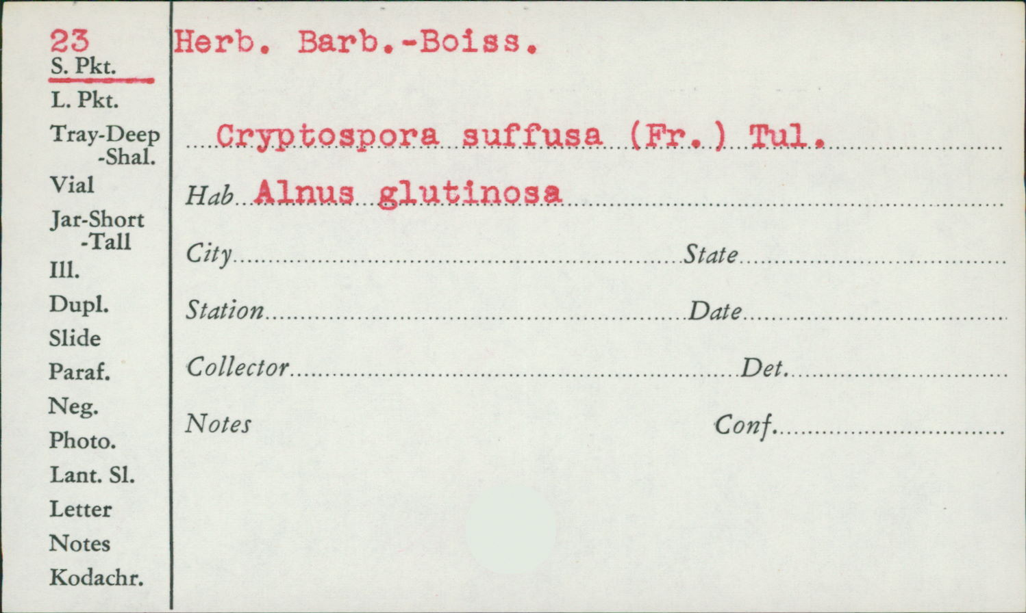 Cryptosporella suffusa image
