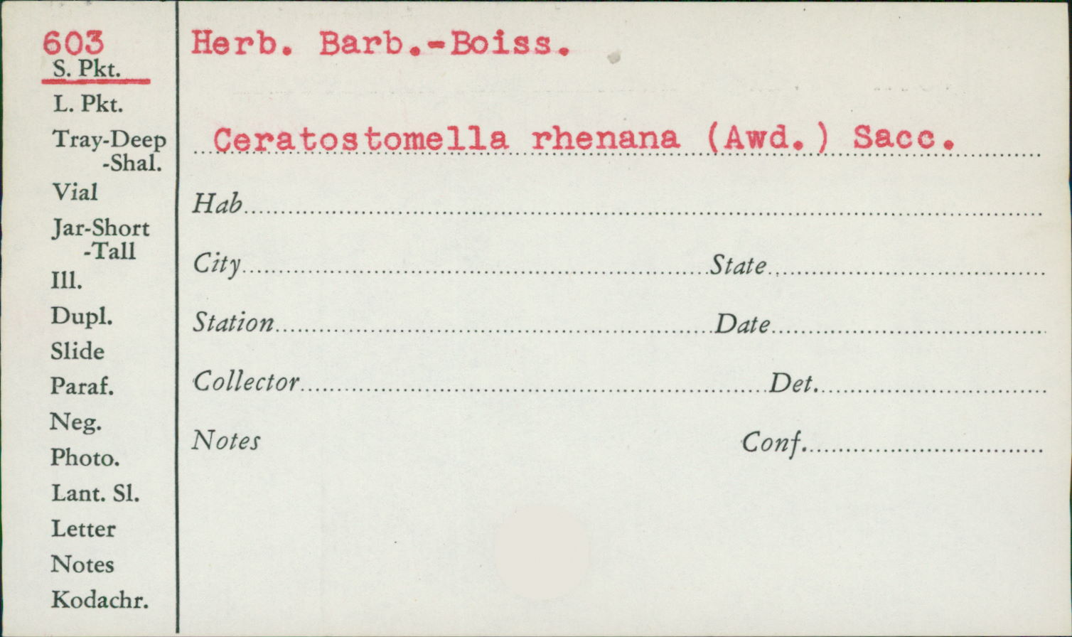 Ceratosphaeria rhenana image