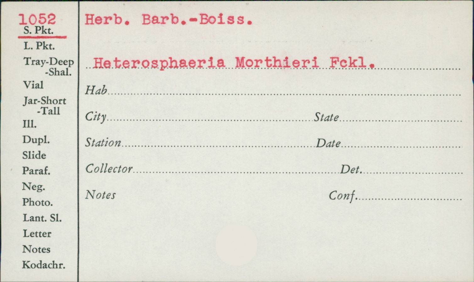 Heterosphaeria morthieri image