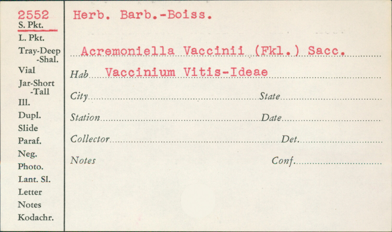 Acremoniella vaccinii image