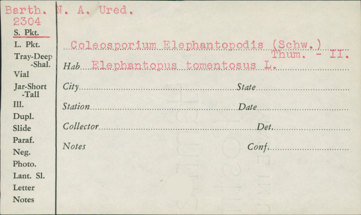 Coleosporium elephantopodis image