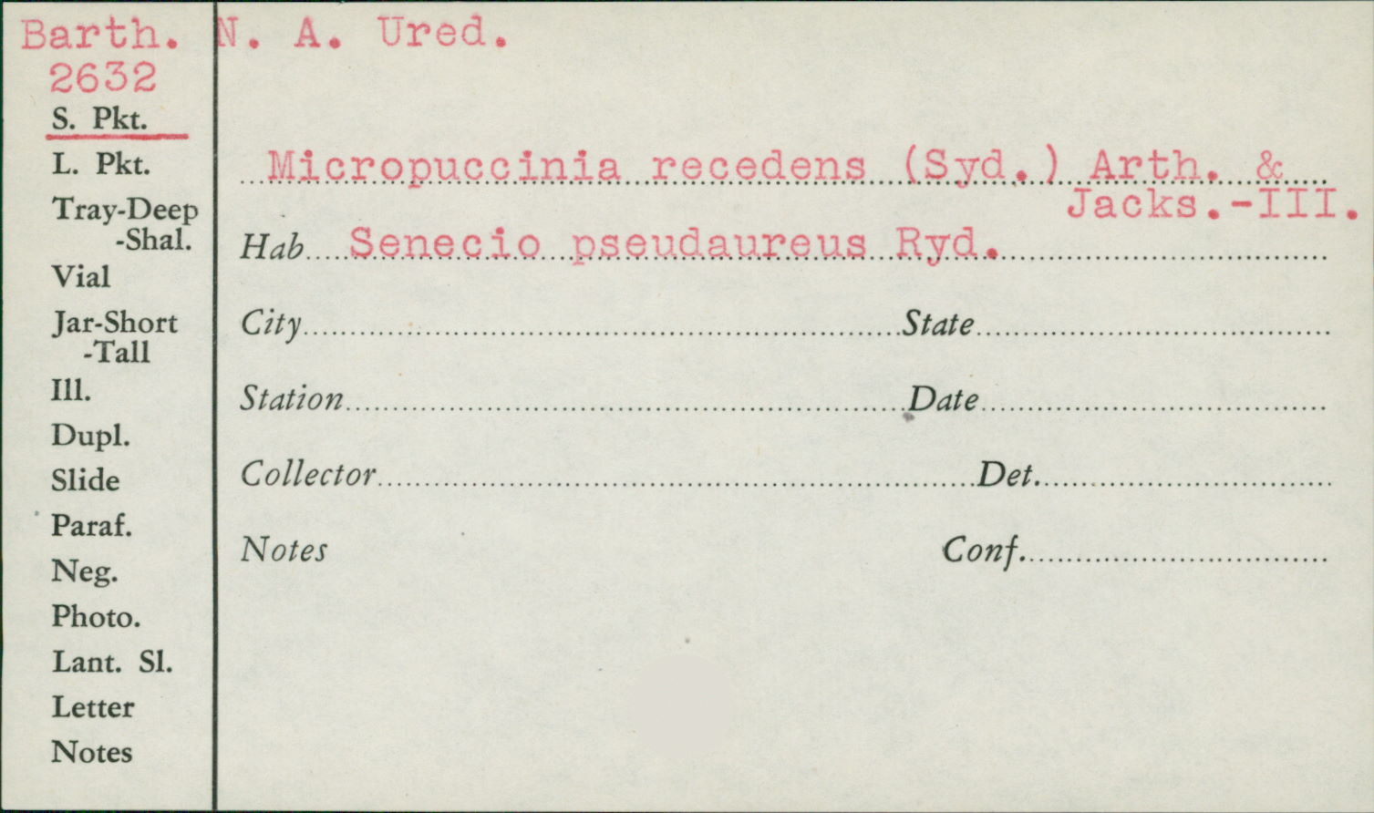 Micropuccinia recedens image