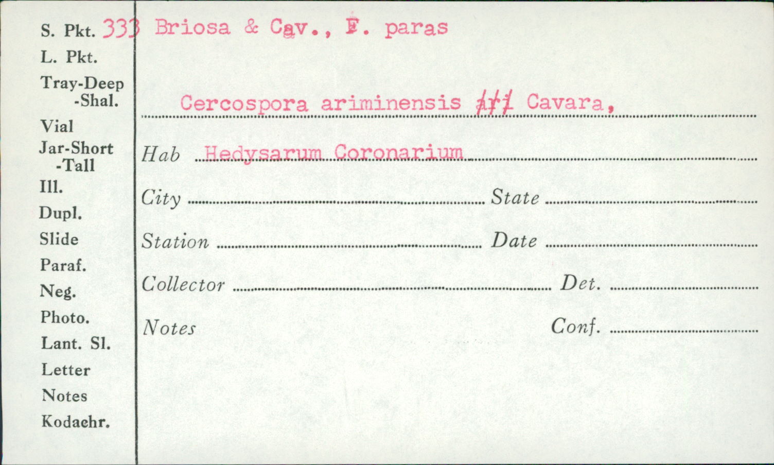 Cercospora ariminensis image