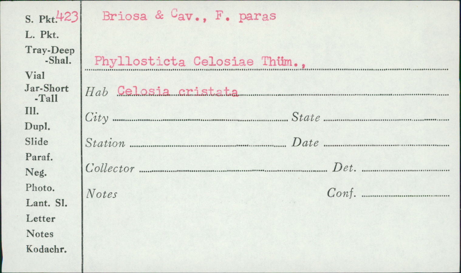 Phyllosticta celosiae image