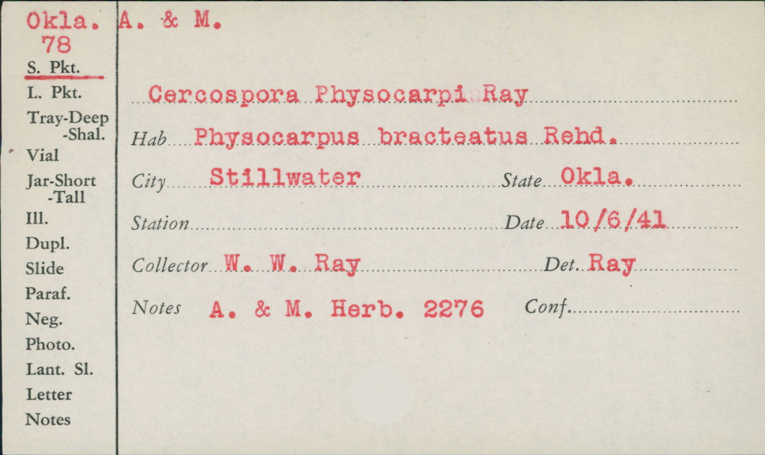 Cercospora physocarpi image