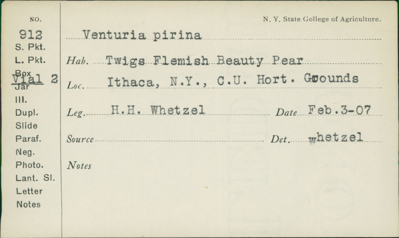 Venturia pirina image